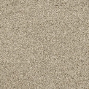 Moonlight  - Beam - Beige 32 oz. SD Polyester Texture Installed Carpet