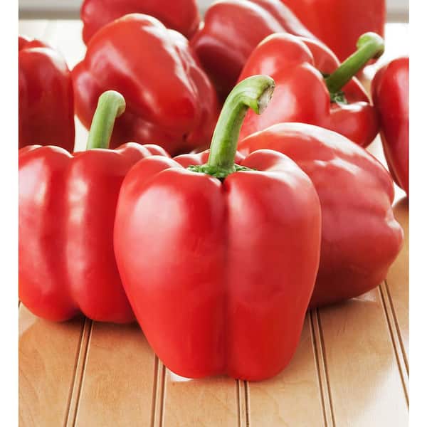 Fresh Red Bell Pepper For Delivery Near Me – Ecosprout
