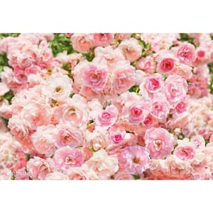 100 in. x 145 in. Rosa Wall Mural
