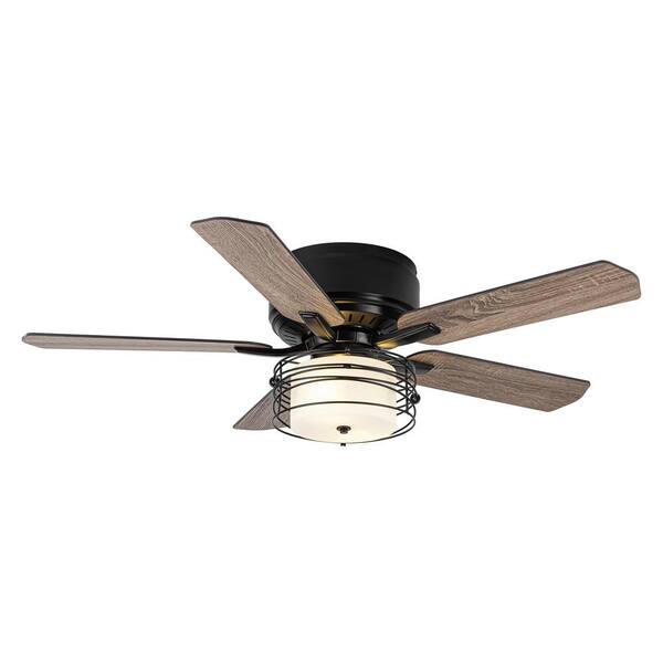 Parrot Uncle 48 in. Indoor Low Profile Matte Black Cage Ceiling 