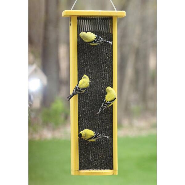 nyjer seed feeder home depot