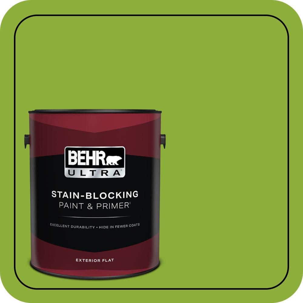 1 gal. #420B-6 New Green Flat Exterior Paint & Primer price history on PriceWatchPro