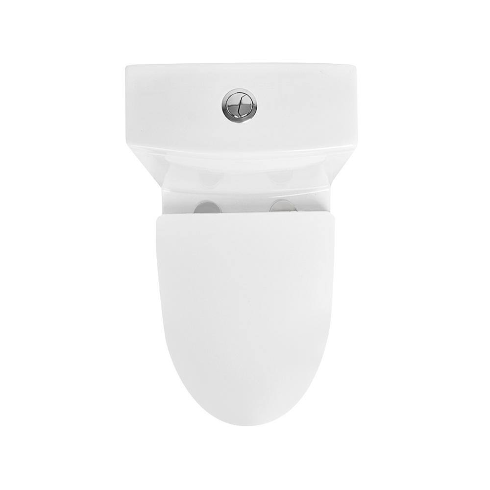 Ally White Ceramic Dual-Flush Elongated One-Piece Toilet