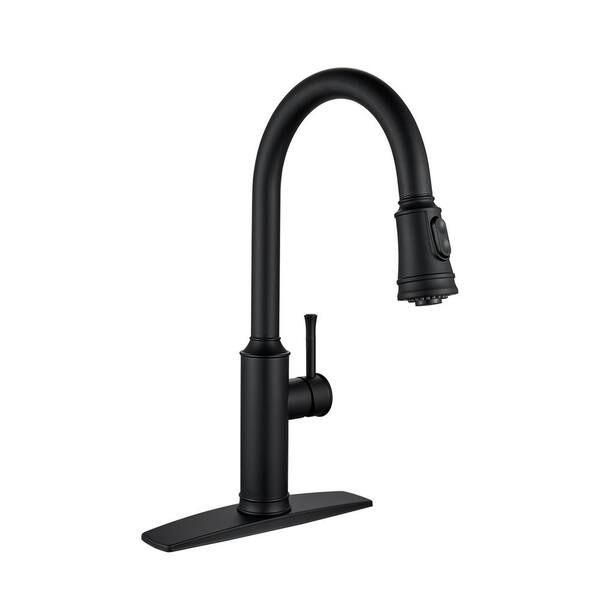 androme Single Handle Pull Down Sprayer Kitchen Faucet with Pull