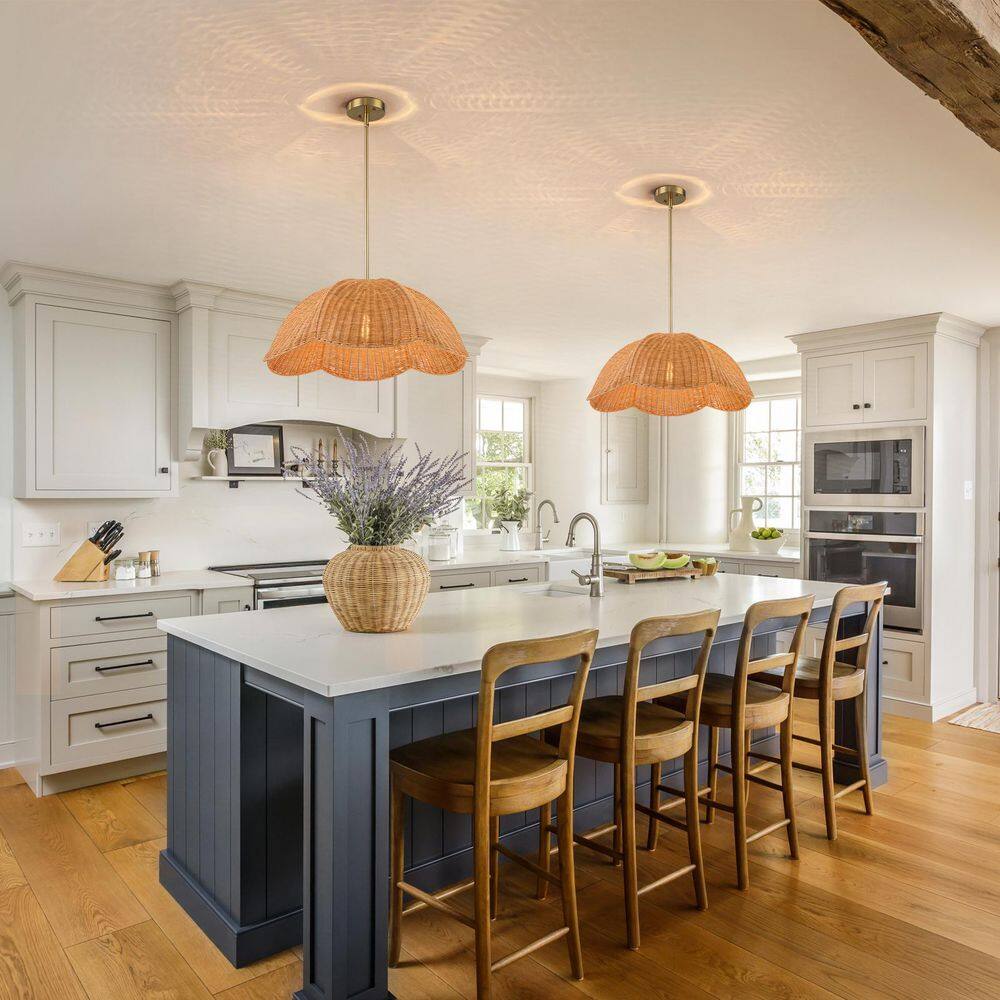 Linnea 23.6 in. 1-Light Boho Rattan Large Scalloped Pendant Light price history on PriceWatchPro