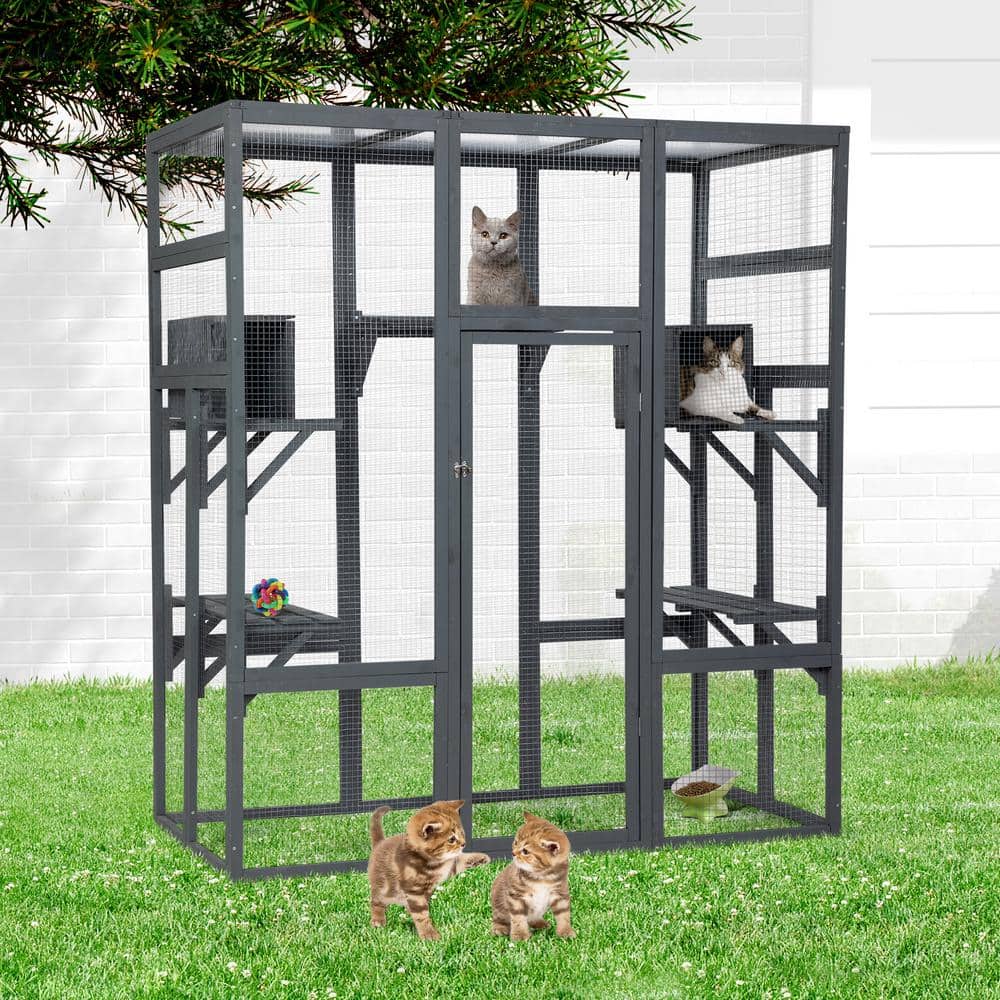 Gray Fir Wood Outdoor Cat Enclosure with Platforms and Condos