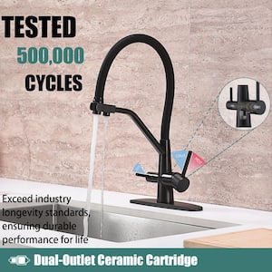 2-in-1 Double Handle Pull Down Sprayer Kitchen Faucet with Beverage Faucets in Stainless Steel Matte Black Finished