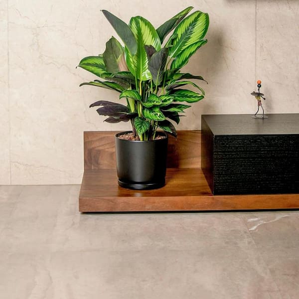 Medium Black Ceramic Indoor/Outdoor Planter with Saucer (5.5 in. W