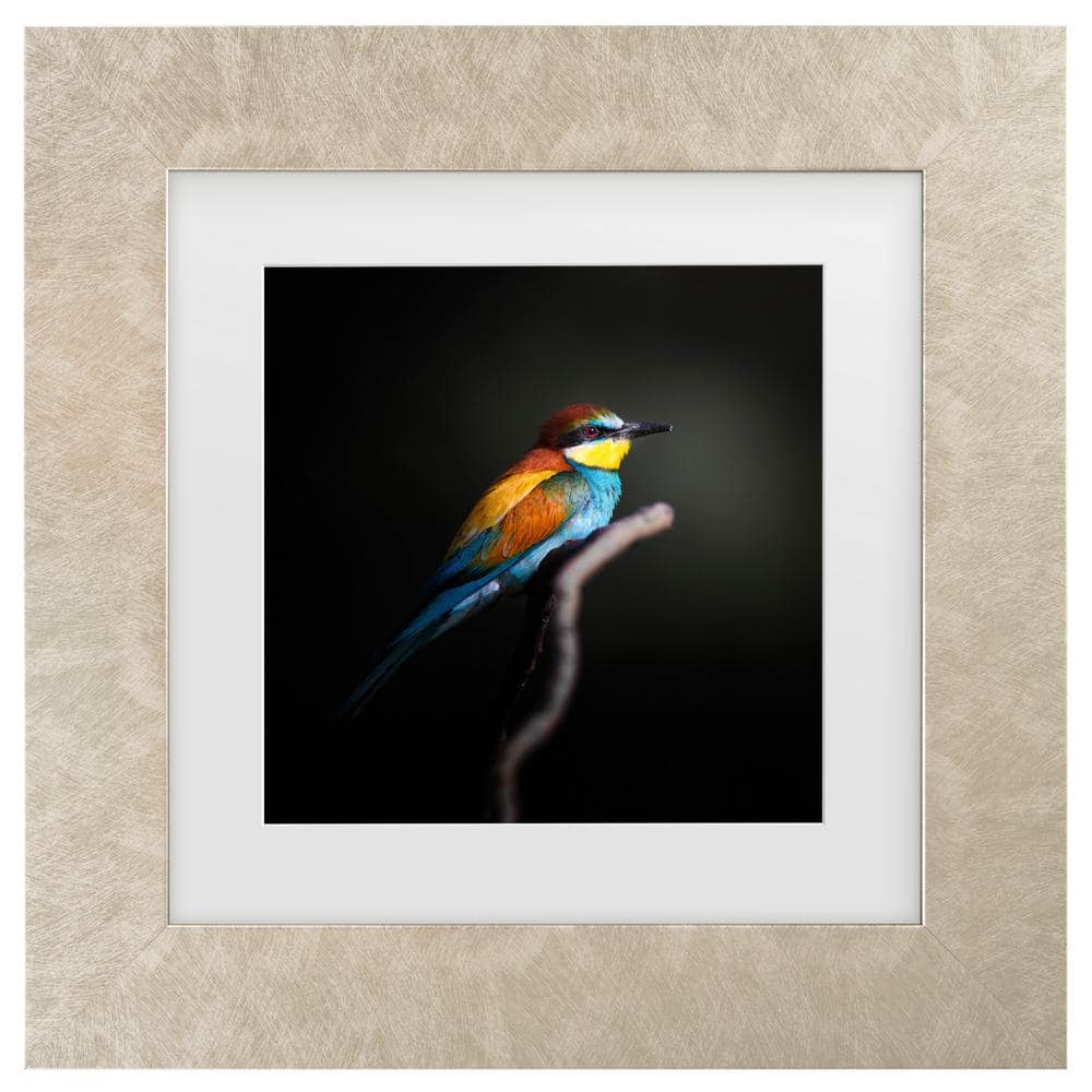 Fegari Colorful Darkly Matted Framed Photography Wall Art 14.5 in. x 14.5 in price history on PriceWatchPro