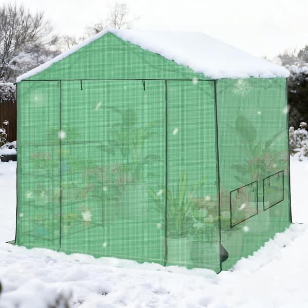 COOS BAY 10 ft. x 10 ft. Pop-Up Walk-in portable Greenhouse for