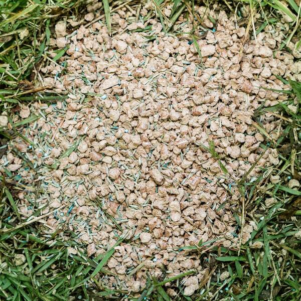 Pennington Seed 100522282 One Step Complete Tall Fescue Mix 5 lb 