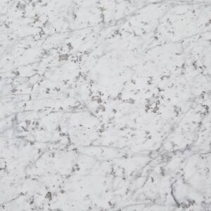 3 in. x 3 in. Marble Countertop Sample in Carrara White Marble