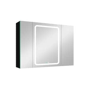 40 in. W x 30 in. H Rectangular Aluminum Medicine Cabinet with Mirror