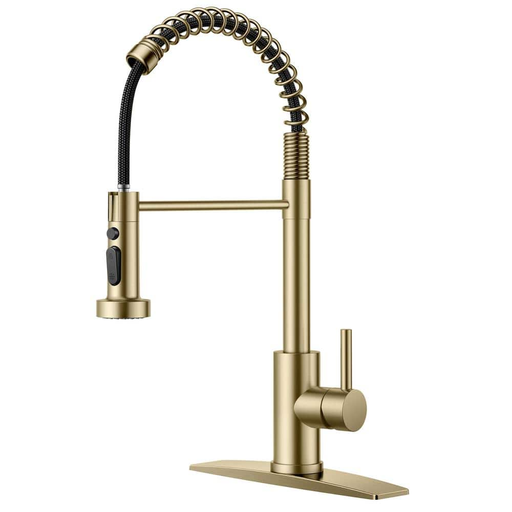 FORIOUS Single-Handle Spring Kitchen Faucet with Pull Down Function ...