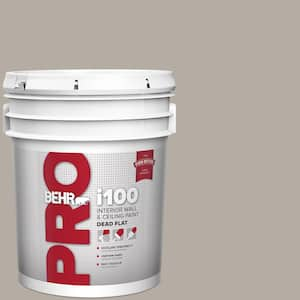 5 gal. #BXC-16 City of Bridges Dead Flat Interior Paint