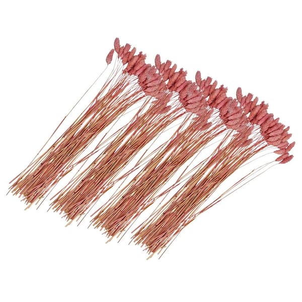 21 in. Light Pink Indoor Non Artificial Dried Preserved Dried Gem Grass-Pack of 4