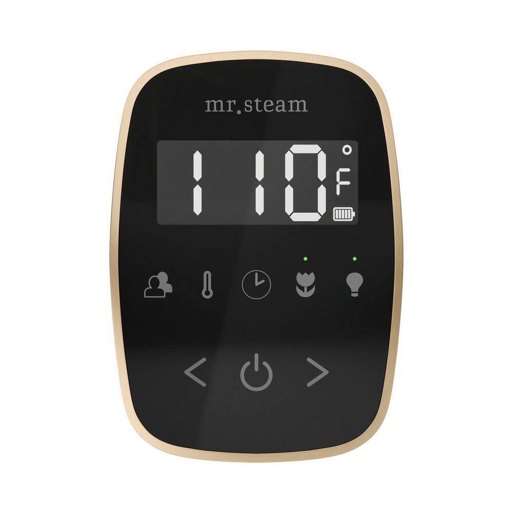 ButlerFlex Steam Shower Control Package with TempoFlex Control and Steamhead in Black Brushed Bronze price history on PriceWatchPro