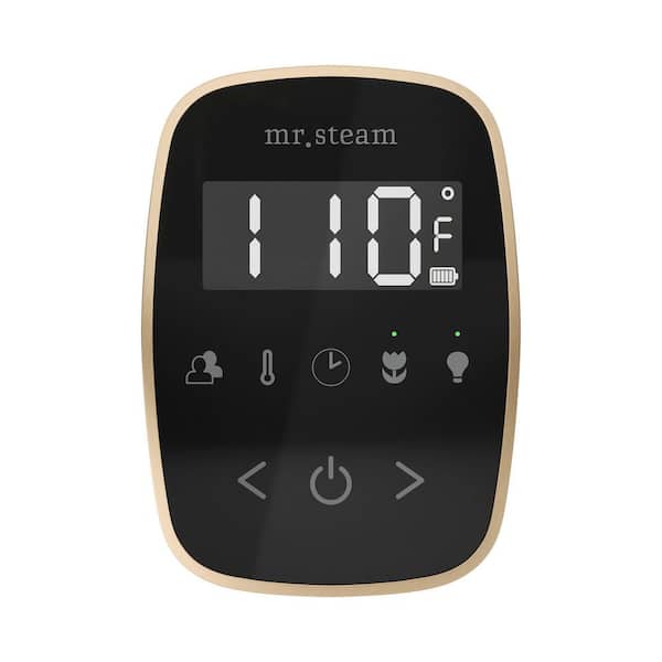 Mr. Steam ButlerFlex Steam Shower Control Package with TempoFlex Control and Steamhead in Black Brushed Bronze