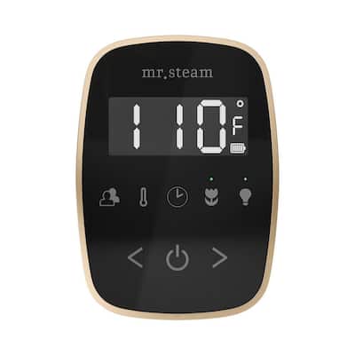 ButlerFlex Max Steam Shower Control Package with TempoFlex Control and Linear Steamhead in Black Brushed Bronze