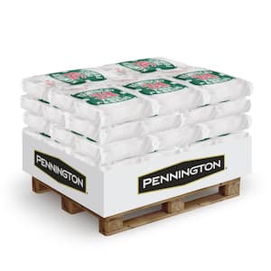 50 lbs. KY31 Uncoated Tall Fescue Grass Seed Pallet (40-Bags)