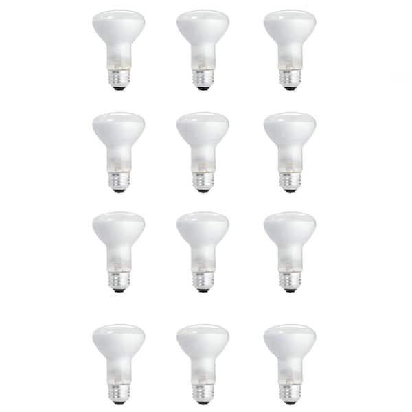 Philips 45-Watt PAR38 Incandescent Flood Light Bulb Bright White
