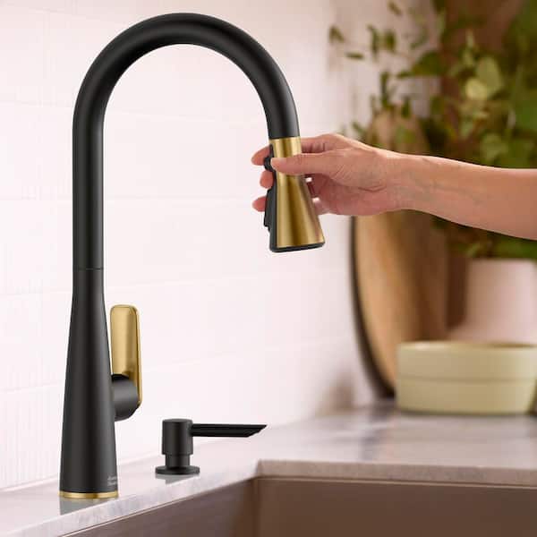 Aspirations 18 in Single Handle Pull Down Sprayer Kitchen Faucet with 360° Swivel in Matte Black/Brushed Cool Sunrise