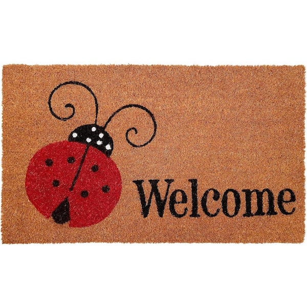 HomeRoots Multi-Colored 36 in. x 24 in. Coir Non-Slip Indoor/Outdoor Door Mat