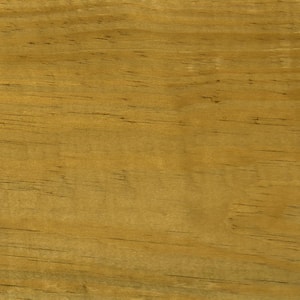 Waterguard 5 gal. Clear Wood Sealer