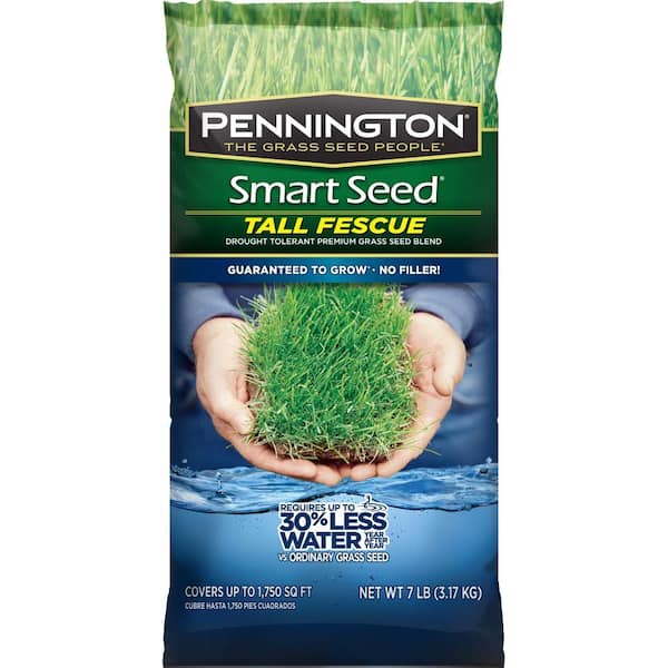 Pennington Smart Seed 7 lb. Tall Fescue Grass Seed