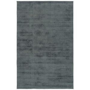 Shiny Grey 9 ft. x 12 ft. Solid Color Area Rug