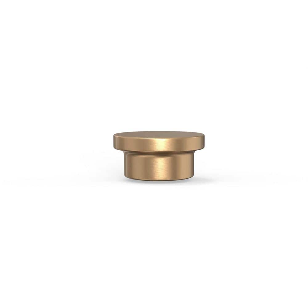 Ethan 1-5/8 in. (41 mm) Modern Champagne Bronze Round Oversized Cabinet Knob price history on PriceWatchPro