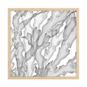 X-Ray Nature Series Framed Giclee Nature Art Print 34 in. x 34 in.