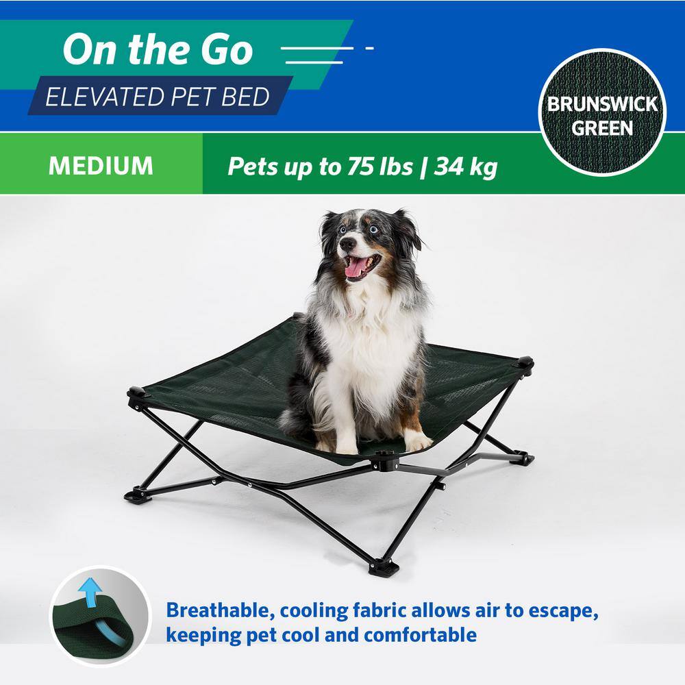 Medium Green Elevated Folding Pet Bed with Steel Frame