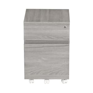 Light Gray File Cabinet with 2-Drawer