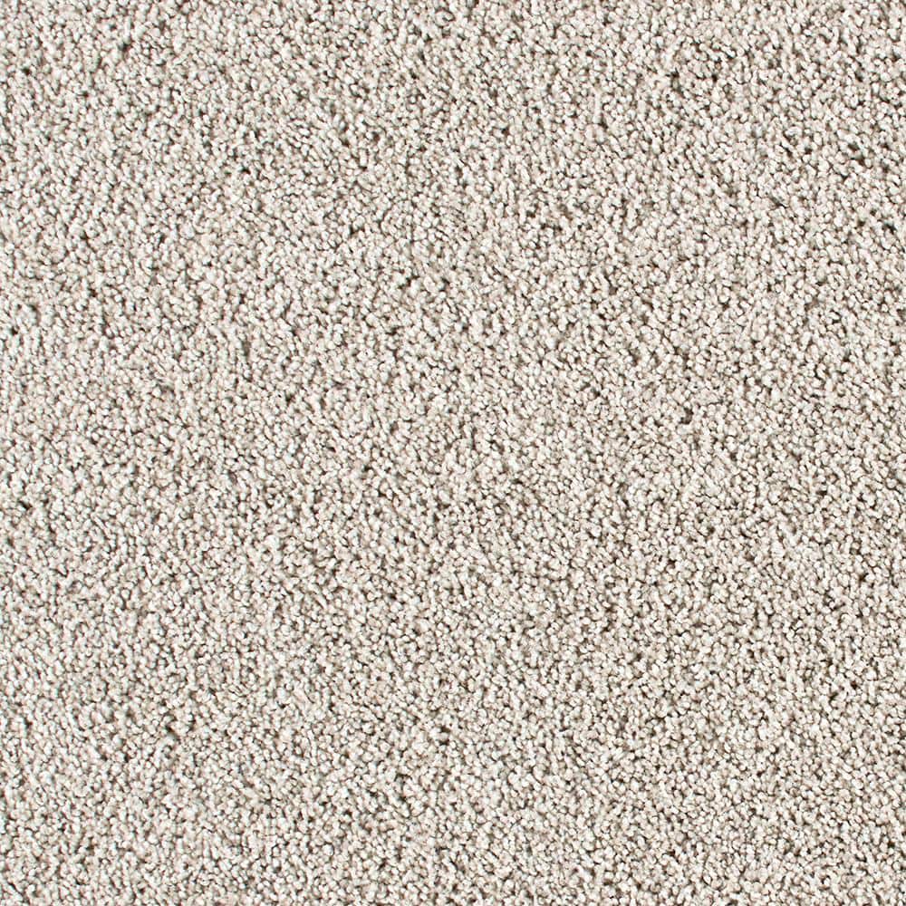 8 in. x 8 in. Texture Carpet Sample - Huntcliff I -Color Seagull price history on PriceWatchPro