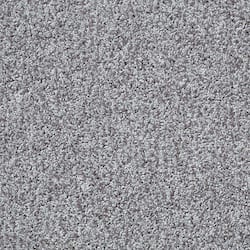 TrafficMaster Dreamcatcher - Dolphin - Gray 12 ft. Wide x Cut to Length 24 oz. Polyester Texture Carpet