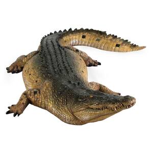 12 in. H Tropical Wetlands Crocodile Statue