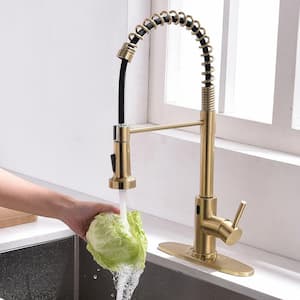 Single Handle Touch Pull Down Sprayer Kitchen Faucet with Deckplate and 360° Rotation in Brushed Gold