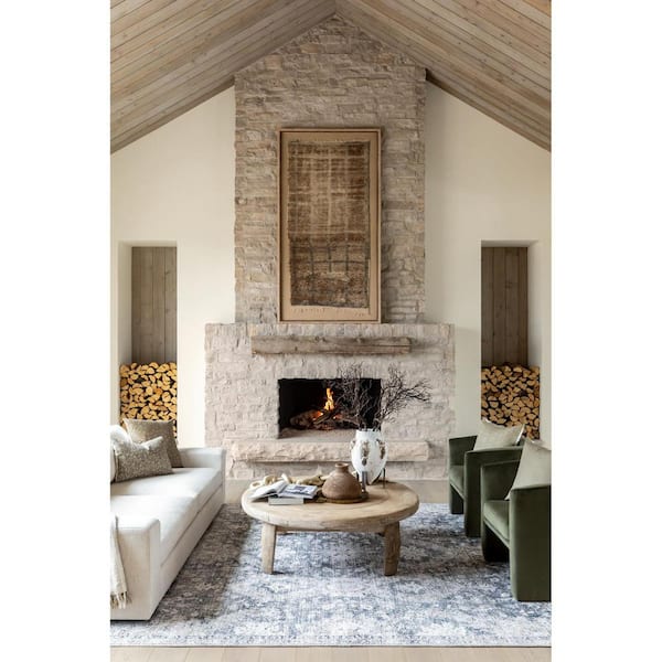 Lorelai Medium Gray Traditional 8 ft. x 10 ft. Indoor Machine-Washable Area Rug
