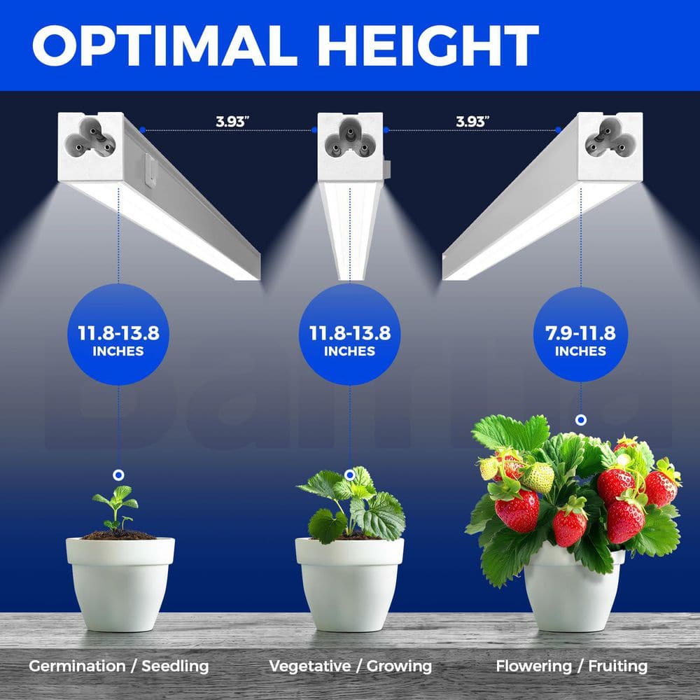 4-Pack 1 ft. T5 Grow Lights for Indoor Plants, 20 Watts, 5000K Full Spectrum,  Plug & Play Natural White price history on PriceWatchPro