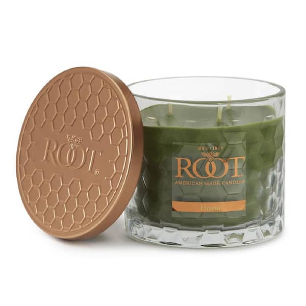 Root Candles 3 Wick Honeycomb Hosta Scented Jar Candle