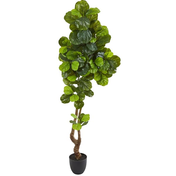 Nearly Natural 78 in. Fiddle Leaf Artificial Tree (Real Touch)