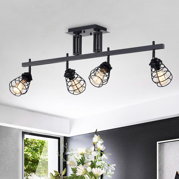 Zefina 40 in. 4-Light Indoor Black Track Lighting Kit Chandelier