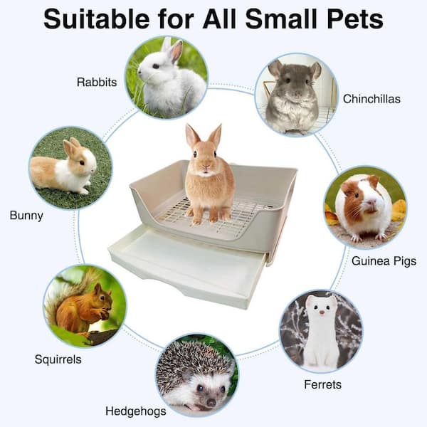Guinea Pig Pellets 15 Pcs Rabbit Starter Kit Small Litter Box