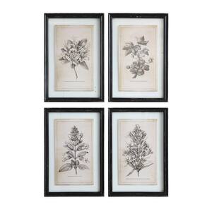 "Floral Images" Wood Framed Nature Wall Art Print (Set of 4 Designs) 22.8 in. x 15.8 in.