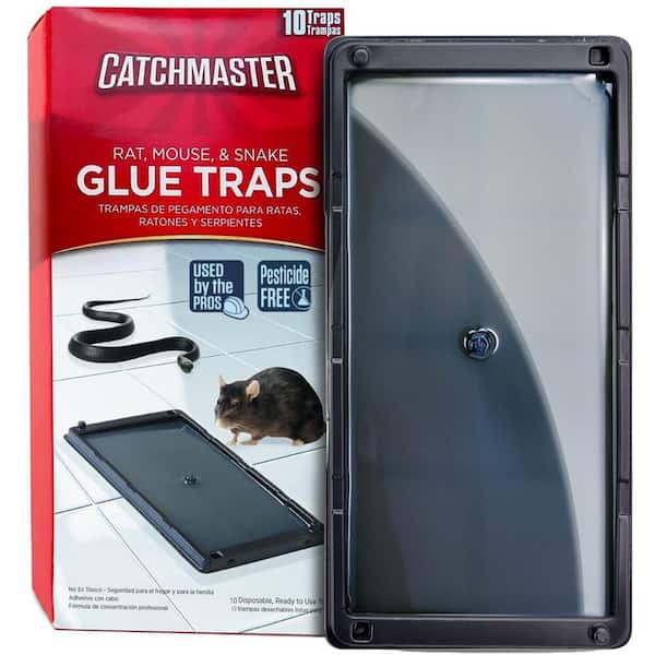 Glue Mouse Traps Indoor for Home 10pack