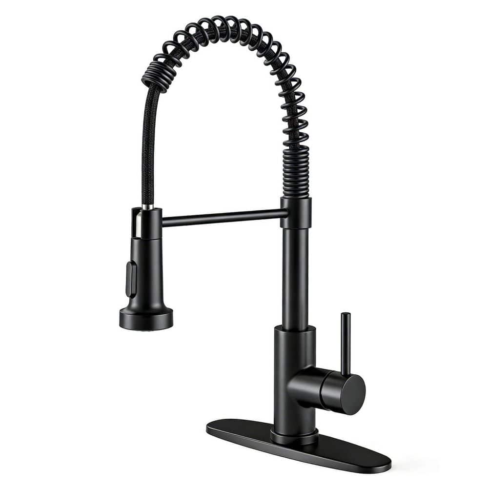 Kitchen Faucet with Pull Down Sprayer Stainless Steel Single Handle Classic Spring Pull Out Kitchen Sink Faucet, Black price history on PriceWatchPro