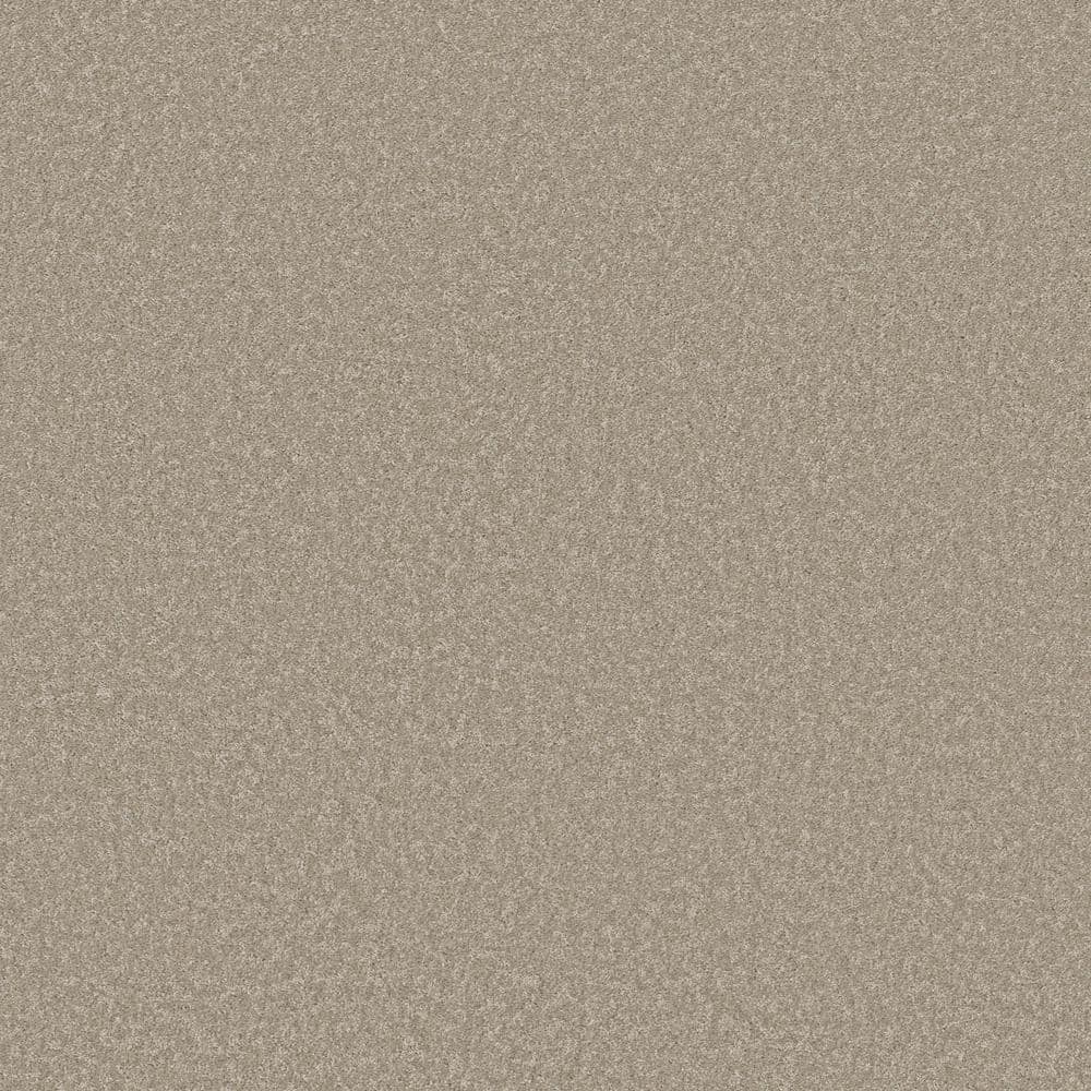 8 in. x 8 in. Texture Carpet Sample - Vacation - Color Swiss Coffee