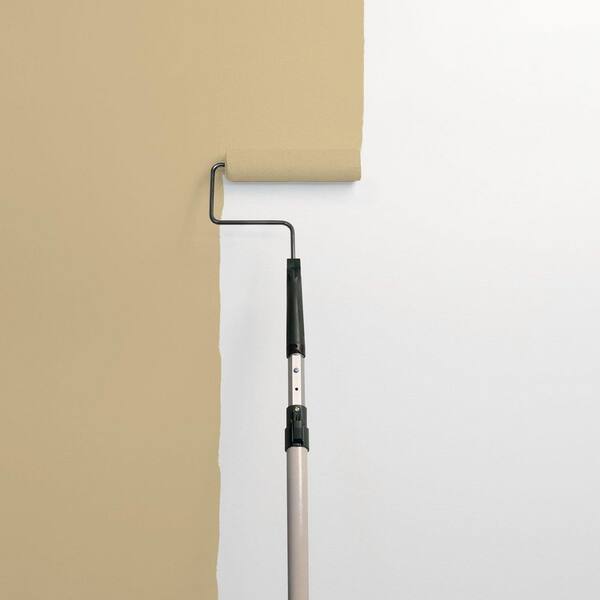 Earthy Cane PPG1103-4 Paint