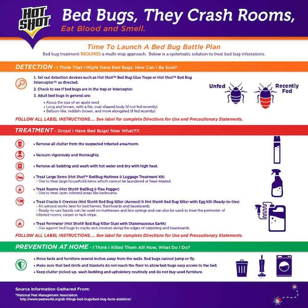 AHRAFFCO - Bed Bug Electrical Outlet Traps, Retail, Double Sided Adhesive  Clear Pest Traps, Bed Bug Electrical Outlet Traps